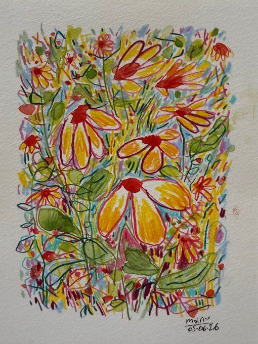 N #11 - 400% - Flower fields 