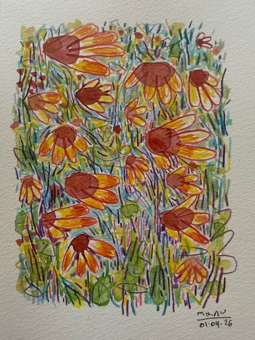 N #43 - 400% - Flower fields